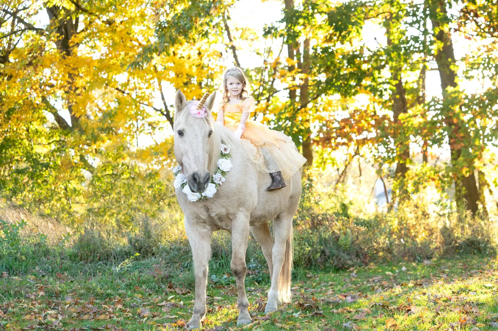 Young rider on a white horse beneath autumn trees