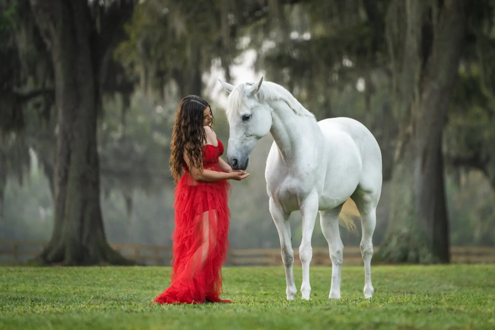 Woman in a red dress with a white horse