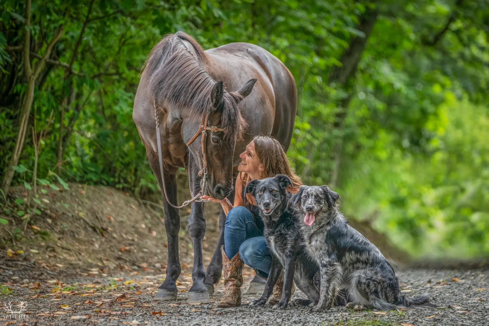 Woman seated with a horse and three dogs in the woods
