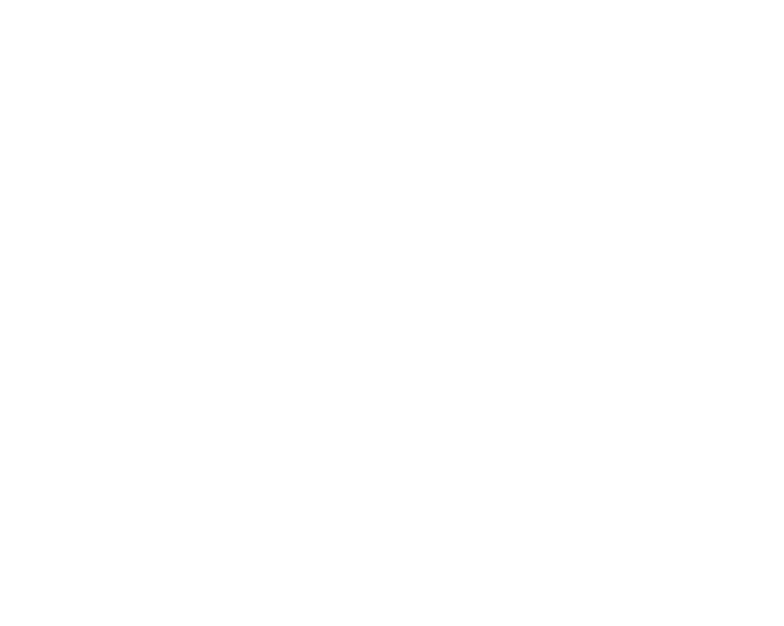 White Deer Photography